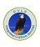 DVLS Logo